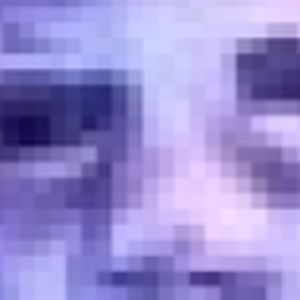 Meet your Posher, Donovan